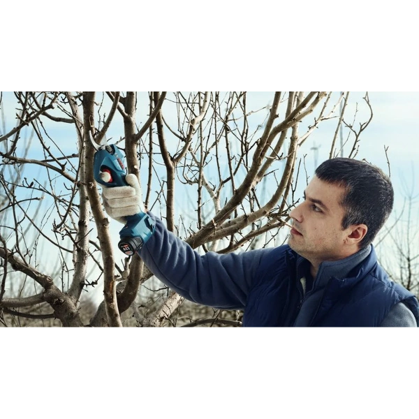 Pro Pruner Professional Bosch 